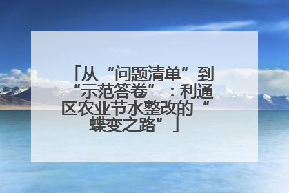 从“问题清单”到“示范答卷”：利通区农业节水整改的“蝶变之路”