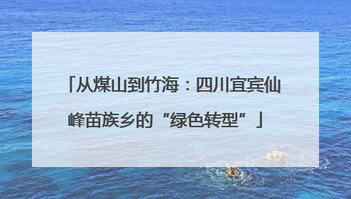 从煤山到竹海：四川宜宾仙峰苗族乡的“绿色转型”