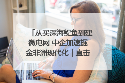 从买深海鳀鱼到建微电网 中企加速掘金非洲现代化｜直击中非经贸博览会