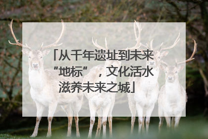 从千年遗址到未来“地标”，文化活水滋养未来之城