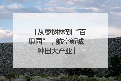 从枣树林到“百果园”，航空新城种出大产业