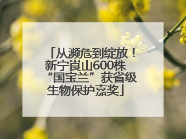 从濒危到绽放！新宁崀山600株“国宝兰”获省级生物保护嘉奖