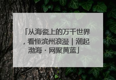 从海瓷上的万千世界，看懂滨州浪漫｜潮起渤海・网聚黄蓝