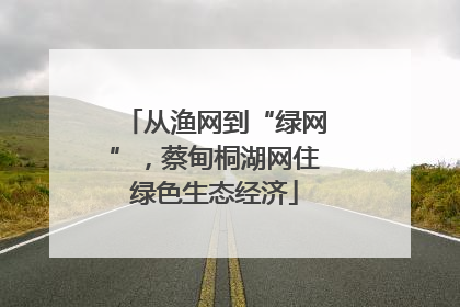 从渔网到“绿网”，蔡甸桐湖网住绿色生态经济