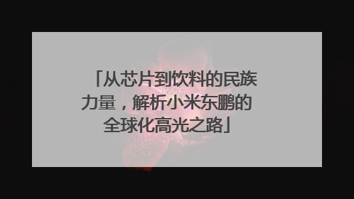 从芯片到饮料的民族力量，解析小米东鹏的全球化高光之路