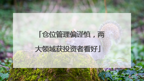 仓位管理偏谨慎，两大领域获投资者看好