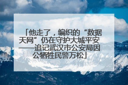 他走了，编织的“数据天网”仍在守护大城平安——追记武汉市公安局因公牺牲民警万松