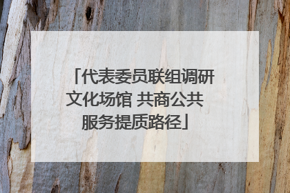 代表委员联组调研文化场馆 共商公共服务提质路径