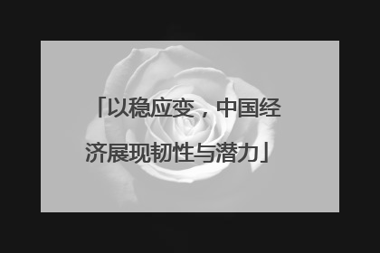 以稳应变，中国经济展现韧性与潜力