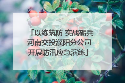 以练筑防 实战砺兵 河南交投濮阳分公司开展防汛应急演练