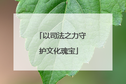 以司法之力守护文化瑰宝