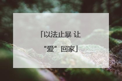 以法止暴 让“爱”回家