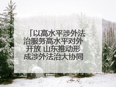 以高水平涉外法治服务高水平对外开放 山东推动形成涉外法治大协同工作格局