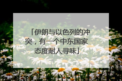 伊朗与以色列的冲突，有一个中东国家态度耐人寻味