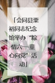会同县粟裕同志纪念馆举办“粽情六一·童心向党”活动