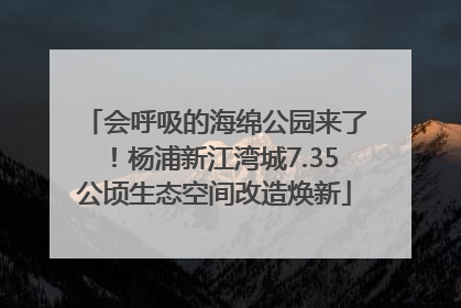 会呼吸的海绵公园来了！杨浦新江湾城7.35公顷生态空间改造焕新