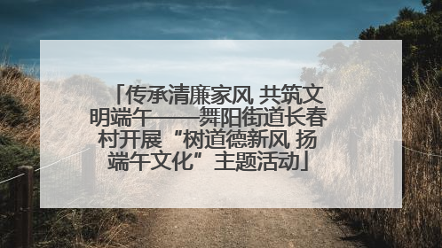 传承清廉家风 共筑文明端午——舞阳街道长春村开展“树道德新风 扬端午文化”主题活动