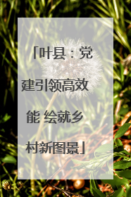 叶县：党建引领高效能 绘就乡村新图景