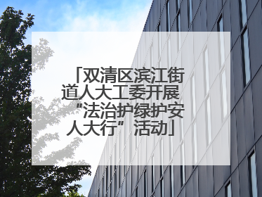 双清区滨江街道人大工委开展“法治护绿护安人大行”活动