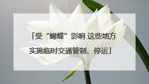 受“蝴蝶”影响 这些地方实施临时交通管制、停运