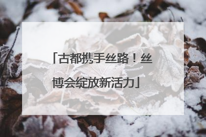 古都携手丝路！丝博会绽放新活力