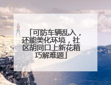 可防车辆乱入，还能美化环境，社区胡同口上新花箱巧解难题