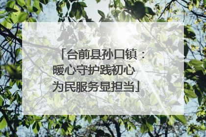 台前县孙口镇：暖心守护践初心 为民服务显担当