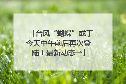 台风“蝴蝶”或于今天中午前后再次登陆！最新动态→
