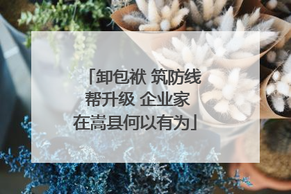 卸包袱 筑防线 帮升级 企业家在嵩县何以有为