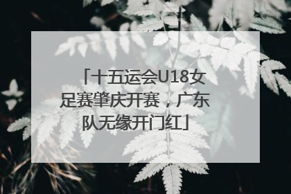 十五运会U18女足赛肇庆开赛，广东队无缘开门红