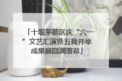 十堰茅箭区庆“六一”文艺汇演暨五育并举成果展圆满落幕
