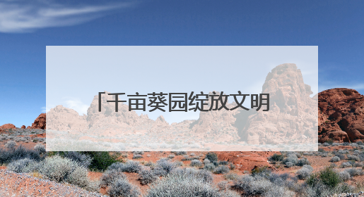 千亩葵园绽放文明之花！盐城市盐都区盐渎街道花吉村获评“全国文明村”