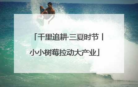 千里追耕·三夏时节丨小小树莓拉动大产业