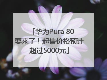 华为Pura 80要来了！起售价格预计超过5000元
