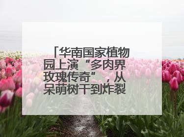 华南国家植物园上演“多肉界玫瑰传奇”，从呆萌树干到炸裂种子全是戏！