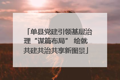 单县党建引领基层治理“谋篇布局” 绘就共建共治共享新图景