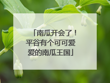 南瓜开会了！平谷有个可可爱爱的南瓜王国