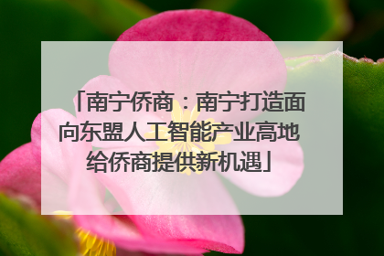 南宁侨商：南宁打造面向东盟人工智能产业高地给侨商提供新机遇
