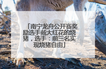 南宁龙舟公开赛奖励选手戴大红花的烧猪，选手：前三名实现烧猪自由