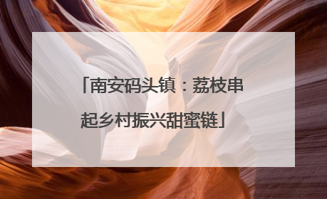 南安码头镇：荔枝串起乡村振兴甜蜜链