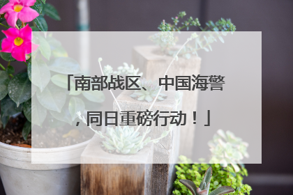 南部战区、中国海警，同日重磅行动！