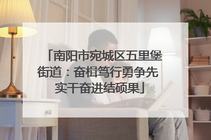 南阳市宛城区五里堡街道：奋楫笃行勇争先 实干奋进结硕果