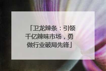 卫龙辣条：引领千亿辣味市场，勇做行业破局先锋