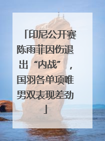 印尼公开赛陈雨菲因伤退出“内战”，国羽各单项唯男双表现差劲