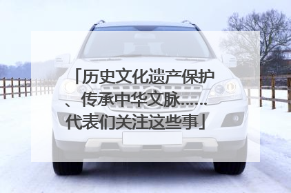 历史文化遗产保护、传承中华文脉……代表们关注这些事