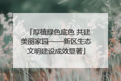 厚植绿色底色 共建美丽家园——新区生态文明建设成效显著