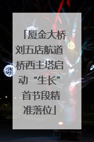 厦金大桥刘五店航道桥西主塔启动“生长” 首节段精准落位