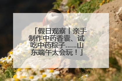 假日观察丨亲手制作中药香囊、试吃中药粽子……山东端午太会玩！