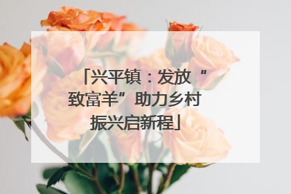 兴平镇：发放“致富羊”助力乡村振兴启新程