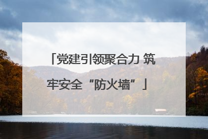 党建引领聚合力 筑牢安全“防火墙”